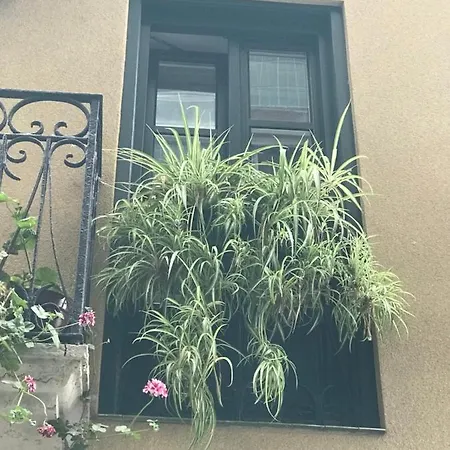 Apartament Aittitta Makurra Etxea *