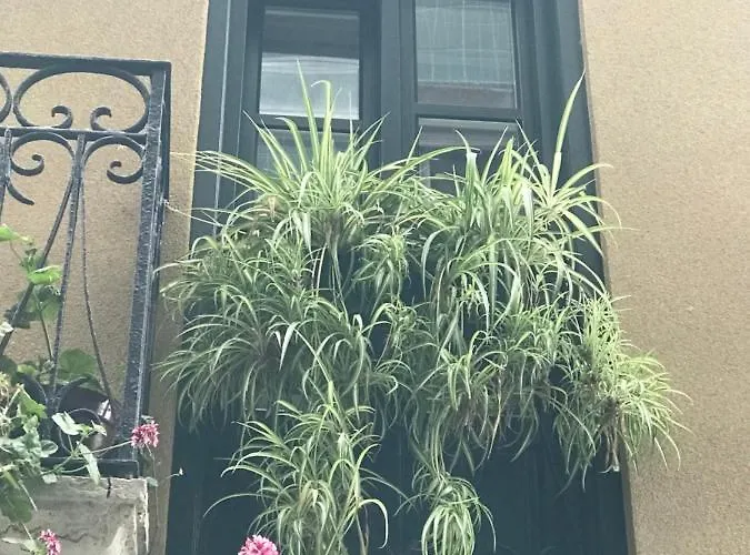 Apartamento Aittitta Makurra Etxea *